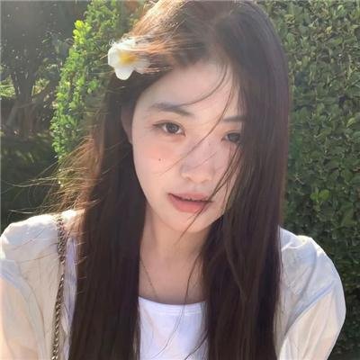 网